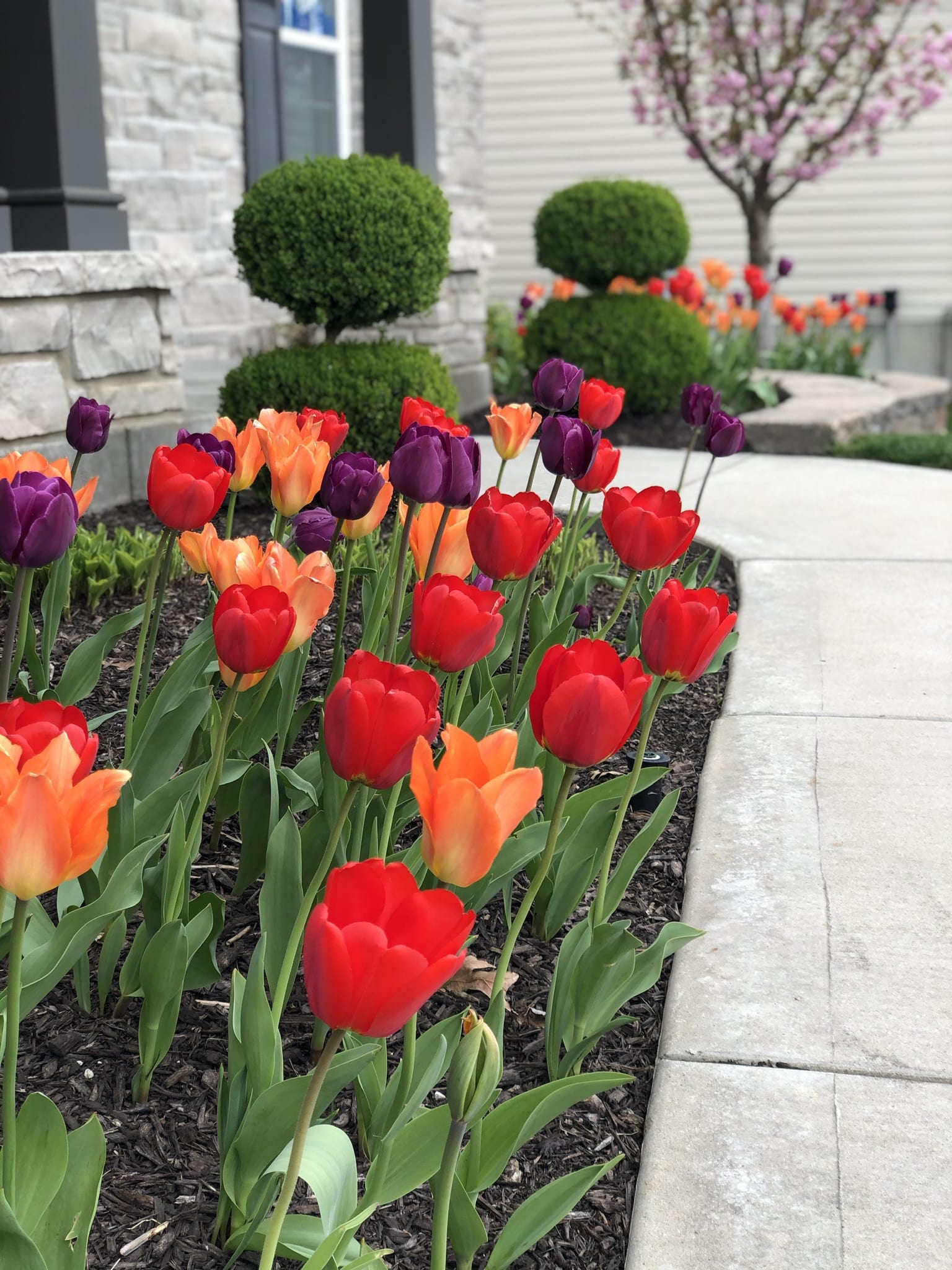 Maryland Heights, MO Commercial Landscaping Services You Can Trust